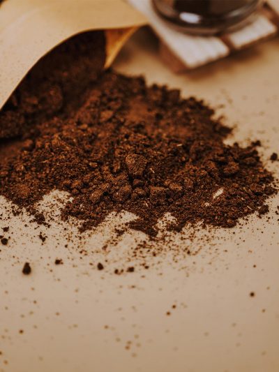 Pasilla kraft