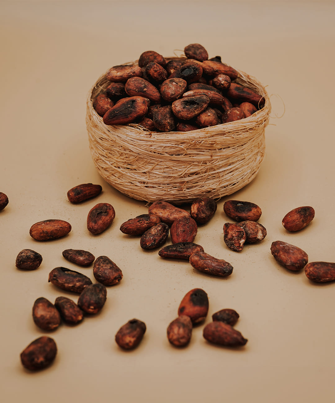 TOSTED-COCOA-CACAO-TOSTADO1