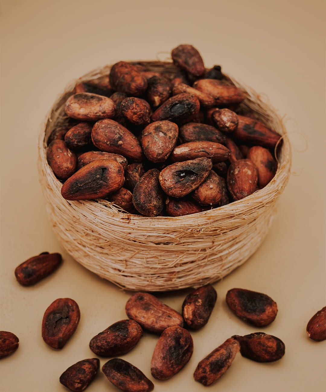 TOSTED-COCOA-CACAO-TOSTADO2